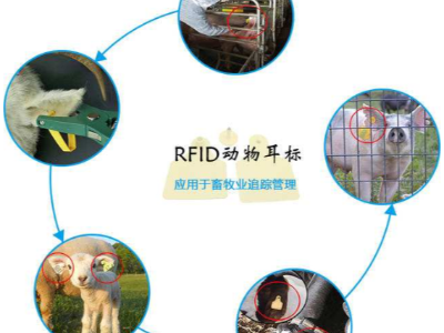 RFID技術(shù)對(duì)畜牧管理提供了科學(xué)模式